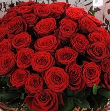 Unforgettable 100 Red Rose Hand Tied