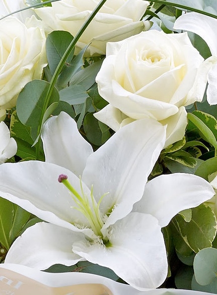 White Light Lilies