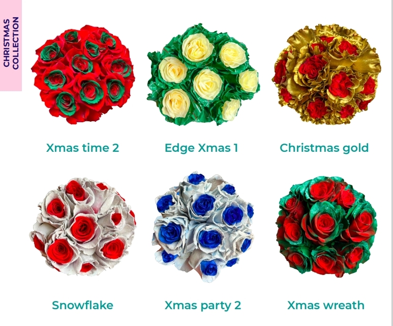 Tinted Roses Chritmas