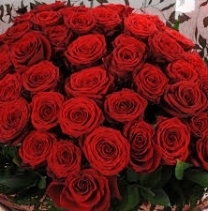 Luxury 100  Red Roses Extravaganza