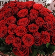 Unforgettable 100 Red Rose Hand Tied